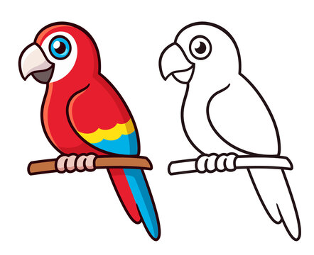 Cute cartoon macaw parrot drawing Stock Vector | Adobe Stock