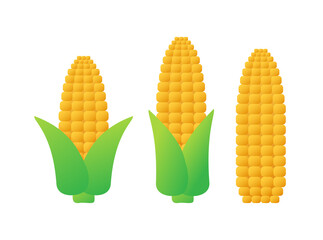 Corn icon on white background. Cartoon corn icon. Vector flat illustration