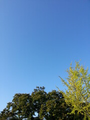 sky, 하늘, blue, 파란