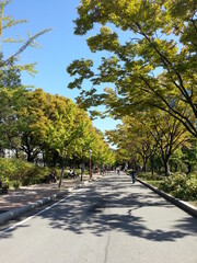 relaxed, 여유로운, city, 도시