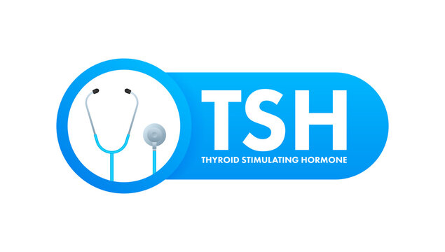 Infographic With Thyroid Stimulating Hormone. Thyroid Stimulating Hormone. Vector Illustration.