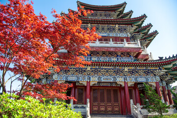 Traditional Chinese temple and the red leaves of the Japanese maple in Tianmen mountain, Zhangjiajie, Hunan, China