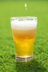 芝に置かれたビール　beer
