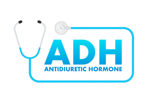 ADH - Antidiuretic Hormone acronym, concept background. Antidiuretic hormone for concept design