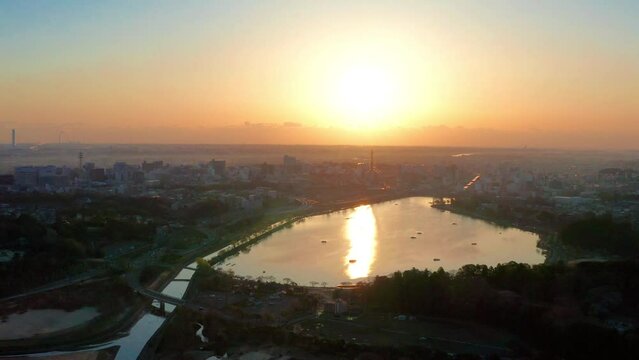 桜が咲く千波湖の日の出（茨城県水戸市）※左側は偕楽園