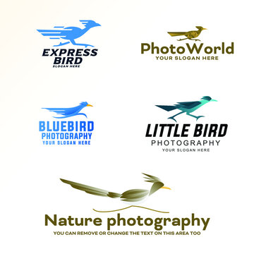 A set of photography with various kinds symbol bird run sprint line art vector modern logo design template