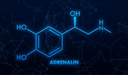 Fototapeta Adrenaline or adrenalin, epinephrine neurotransmitter molecule. Skeletal formula.Vector illustration obraz