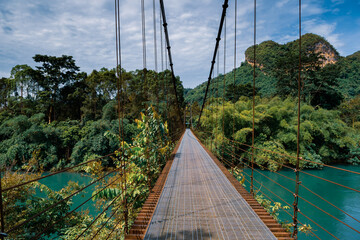 Obraz premium rain forest