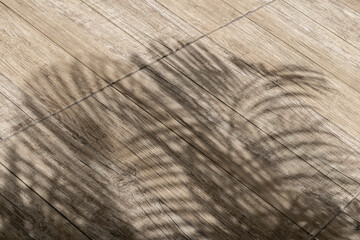Shadow of coconut leaves on wood surface