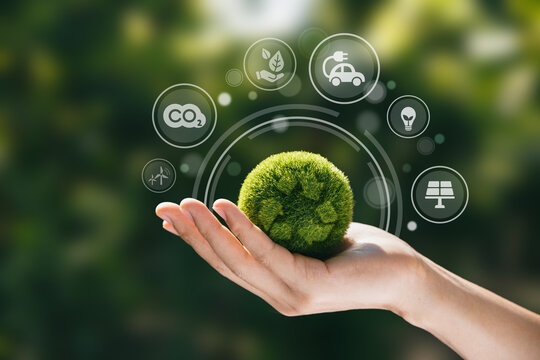 Hand of human holding green world with environment icon, Save world, sustainable environment concept.