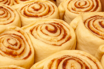 Obraz na płótnie Canvas Blanks of cinnamon rolls dough are on greased parchment paper.