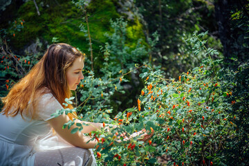 A beautiful woman in a white dress is sitting among green rosehip bushes in a summer forest....
