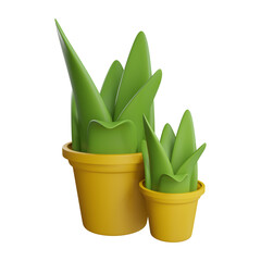 decorative plants 3d icon