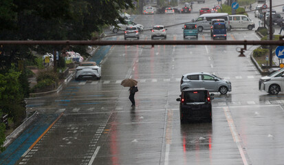 梅雨時期の道路で横断歩道を歩く傘を持っている人々の姿