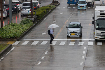 梅雨時期の道路で横断歩道を歩く傘を持っている人々の姿 - obrazy, fototapety, plakaty