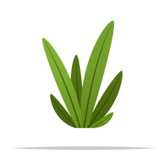 Grass weed vector isolated illustration