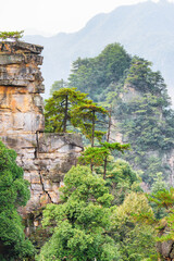Awesome view of trees growing on top of rock, Avatar Mountains