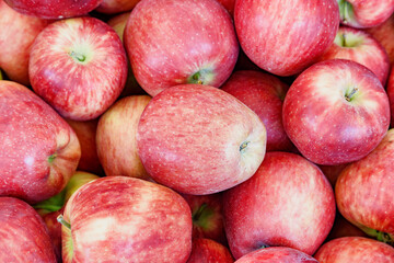 Closeup view of fresh red apples. Good harvest of fruits