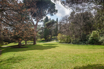 Alley in park of Vorontsov Palace. Alupka. Crimea