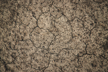Dry cracked ground background texture Selective focus.