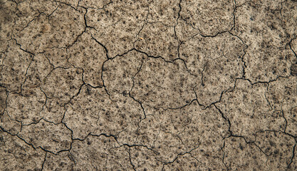 Dry cracked ground background texture Selective focus.