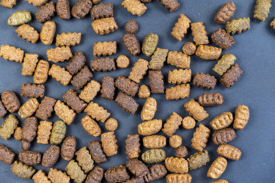 Dry Dog Food Against A Gray Background. Oval-shaped Pellets Lie Randomly On The Surface. The Pellets Are Brown, Beige, And Green. Flatlay.