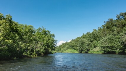 Obraz premium The bed of the calm river bends. The banks overgrown with lush green vegetation. Clear blue sky. Copy space. Kamchatka.