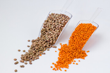 Dried green and red lentils in transparent paddle spoons on white surface