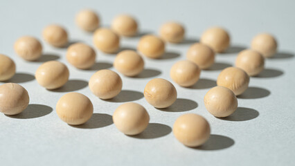 soy beans