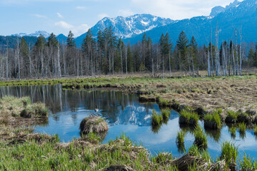 Wandern in Pfronten, Allgäu, Bayern