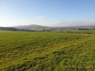 Obraz premium rice field