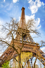Low angle view of Eiffel tower - 509076208