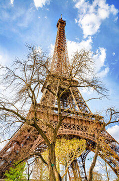 Low angle view of Eiffel tower
