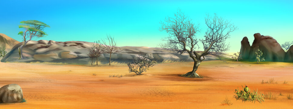 African savanna desert panoramic landscape