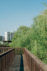 Green forest road at New Guro Ecological Park in Seoul, Korea