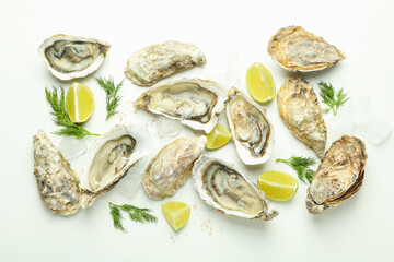 Concept of delicious seafood, oysters on white background
