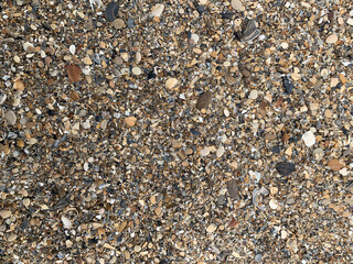 garbage after the surf on the seashore