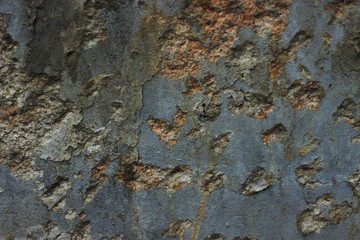 Texture of old gray blue and brown concrete wall for background