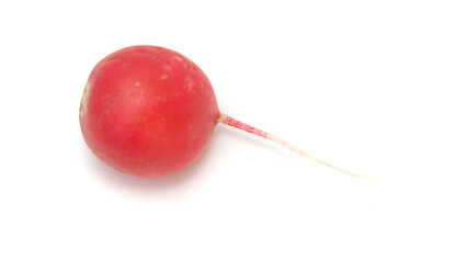 red radish isolated on white background