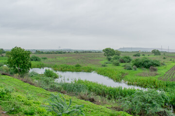 Green scenery.