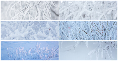 Collection of winter panoramic backgrounds with trees and bushes covered with hoarfrost. Snow and...