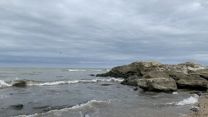 a seagull in a cloudy sky over the sea waves