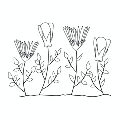 Coloring book. Hand drawn. Black and white. children. Flowers.