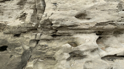 the texture of a stone on the seashore