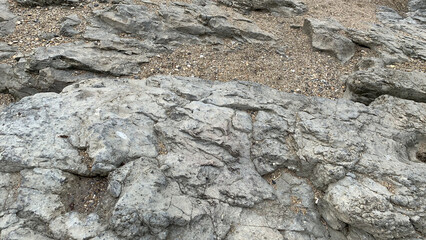 the texture of a stone on the seashore