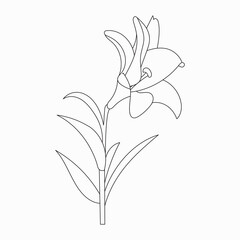 Coloring book. Hand drawn. Black and white. children. Flowers.