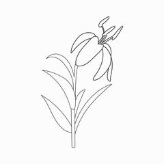 Coloring book. Hand drawn. Black and white. children. Flowers.