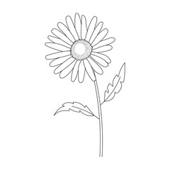 Coloring book. Hand drawn. Black and white. children. Flowers.