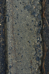 concrete curb near the roadway photo close-up in the city