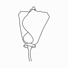 Coloring book. Hand drawn. Black and white. children. Flowers.